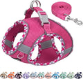 Small Dog Harness and Leash Set Strong Magic Tape, Hot-Pink, XS | No Pull Step-in Vest for Puppy, Breathable Mesh, Reflective & Escape-Proof Design, Outdoor Use for Chihuahua, Maltese by AIITLE-FORPETSBETTERLIFE
