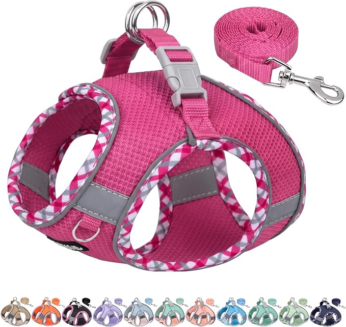 Small Dog Harness and Leash Set Strong Magic Tape, Hot-Pink, XS | No Pull Step-in Vest for Puppy, Breathable Mesh, Reflective & Escape-Proof Design, Outdoor Use for Chihuahua, Maltese by AIITLE-FORPETSBETTERLIFE