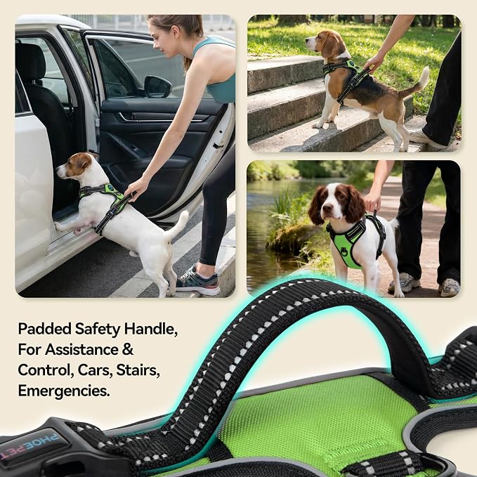 Reflective Dog Harness No Pull Large Breed Vest | with 2 Metal Leash Attachment Hooks(L, Green) - Image 4