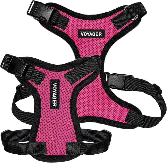 Voyager Step-in Lock Dog Harness - Fuchsia/Black Trim, Large | 20 - 25" in Chest, Adjustable, Breathable Air Mesh, Lightweight for Daily Walks, Strong Clips, Heavy Duty D-Ring - Image 6
