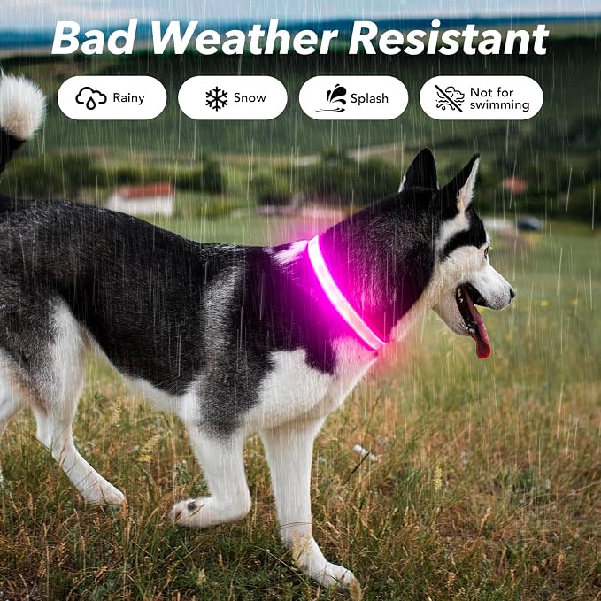 Visinite LED Dog Collar USB Rechargeable, Reflective Light Up Pet Collar for Night Walking, Adjustable Glow Collar for Small Medium Large Dogs (Pink, M) - Image 4