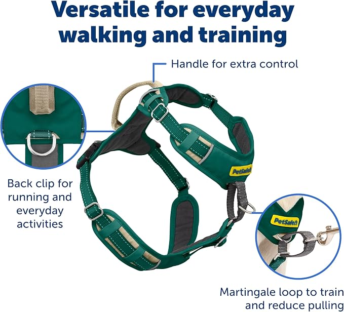 PetSafe Easy Walk Comfort No Pull Dog Harness, Green, Extra Small | Stops Pulling on First Use with Front Martingale Loop, Full-Body Padding, 5-Point Adjustable Fit - Image 4