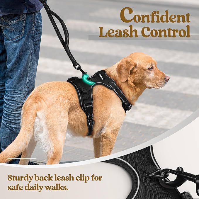 rabbitgoo Dog Harness, No Pull for Small Dogs with 2 Leash Clips, Pet Vest | No Choke with Handle, Adjustable Soft Padded, Reflective, Easy Control for Walking, Black, Small - Image 6