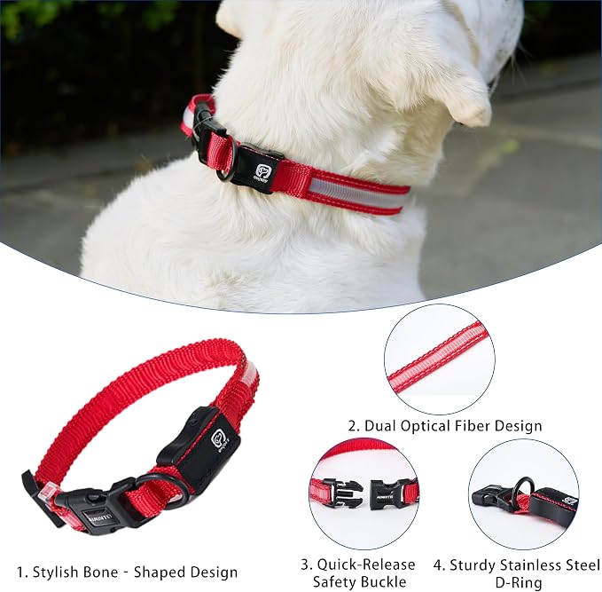 USB Rechargeable LED Dog Collar, Waterproof, Adjustable, Glowing, for Medium Dogs, Night Walking, Camping, Jogging, Red, M (Neck 15-24", Width 1") - Image 4