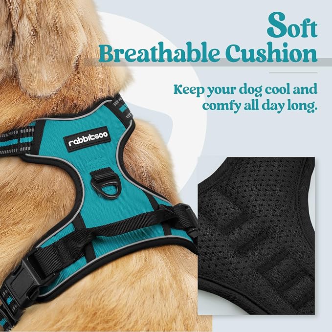 rabbitgoo Dog Harness, No Pull Medium Sized with 2 Leash Clips, Pet Vest | No Choke with Handle, Adjustable Soft Padded, Reflective, Easy Control for Walking, Teal, Medium - Image 2