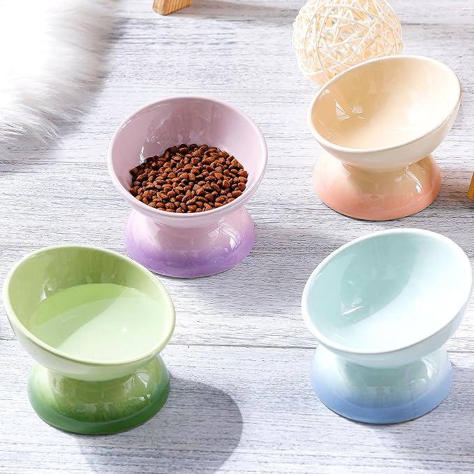 Hushee 4 Pcs Ceramic Raised Cat Food Bowls Elevated Tilted Dish Anti Vomiting Food or Water Bowls Pet Supplies - Image 6