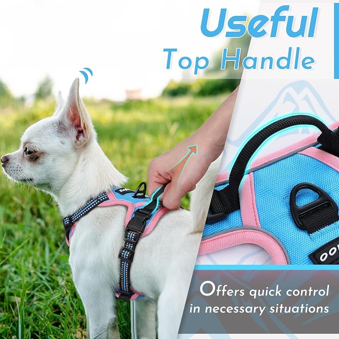 Eagloo Dog Harness for Small Dogs, No Pull Pet Vest with 2 Leash Clips | No Choke with Handle, Adjustable Comfort Fit, Reflective Strips, Easy Walking Control, Pink & Sky Blue, X-Small - Image 5