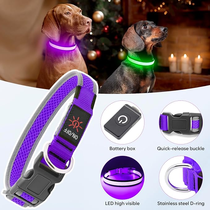 Flashseen LED Light Up Dog Collar, USB Rechargeable, Purple, S | Super Bright Lighted Dog Collar, Adjustable Breathable Mesh, Glow Collar for Dog Night Walking - Image 4