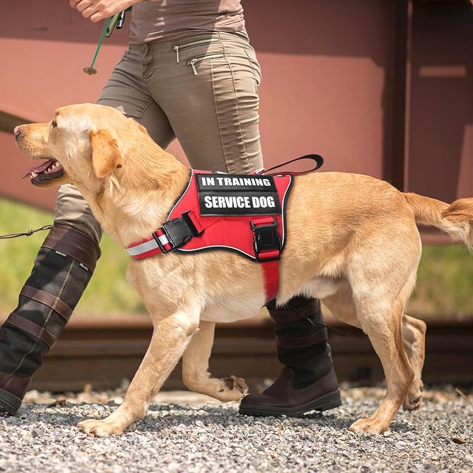 Service Dog Vest Harness and Leash Set+10 Patches,No Pull&Adjustable Reflective Dog Harness with Soft Padded Handle for Training/Everyday,Fit Small/Medium/Large/Extra-Large Dogs (Red S) | Adjustable Reflective Service Dog Harness Small Sized,Dog Leash ... - Image 7