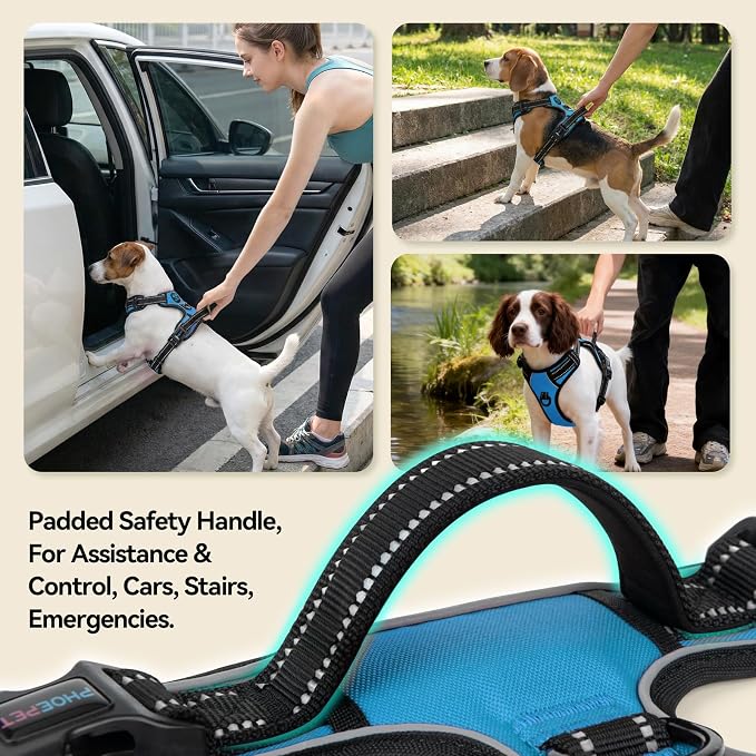 No Pull Dog Harnesses for Small Puppies Reflective Adjustable | Front Clip Vest with 2 Metal Leash Attachment Hooks Soft Handle(XS, Blue) - Image 4
