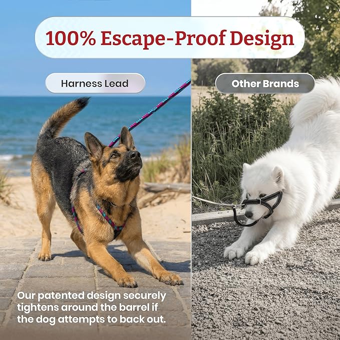 Harness Lead No Pull Dog Harness and Leash Set, Anti Pull Dog Harness, One-Piece Cushioned Rope Safely Prevents Escaping and Pulling (Small/Medium, Red/Reflective) - Image 5