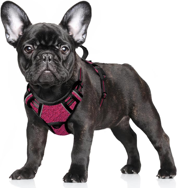 BARKBAY No Pull Dog Harness Large Reflective Dog Harness with Front Clip and Easy Control Handle for Walking Training Running with ID tag Pocket(Pink/Black,S) by BARKBAY