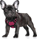 BARKBAY No Pull Dog Harness Large Reflective Dog Harness with Front Clip and Easy Control Handle for Walking Training Running with ID tag Pocket(Pink/Black,S) by BARKBAY