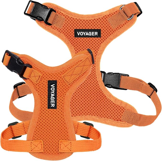 Voyager Step-in Lock Dog Harness - Orange, Medium | 17 - 21" in Chest, Adjustable, Breathable Air Mesh, Lightweight for Daily Walks, Strong Clips, Heavy Duty D-Ring - Image 6