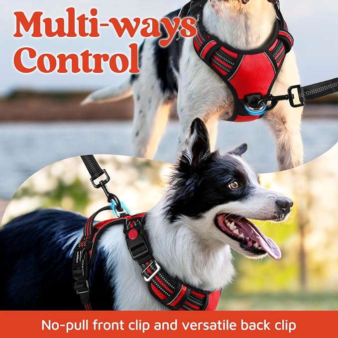rabbitgoo Dog Harness for Large, No Pull 3 Buckles Easy On & Off | Soft Padded, Walking with Control Handle, Adjustable and Reflective, Red, X-Large - Image 3
