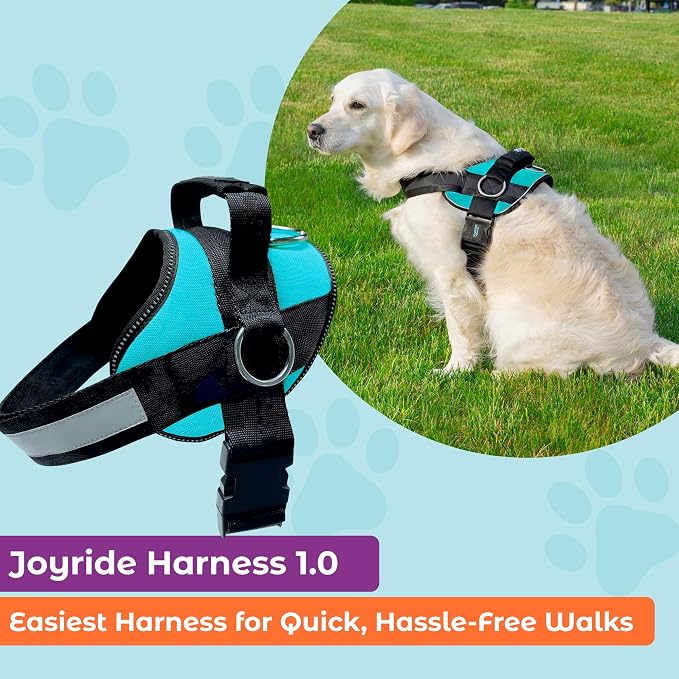 Joyride Basic Dog Harness 1.0 | Teal Ocean | S | Adjustable pet vest with 3 side leash rings for training, walking and improved control for small, medium or large dogs - Image 2