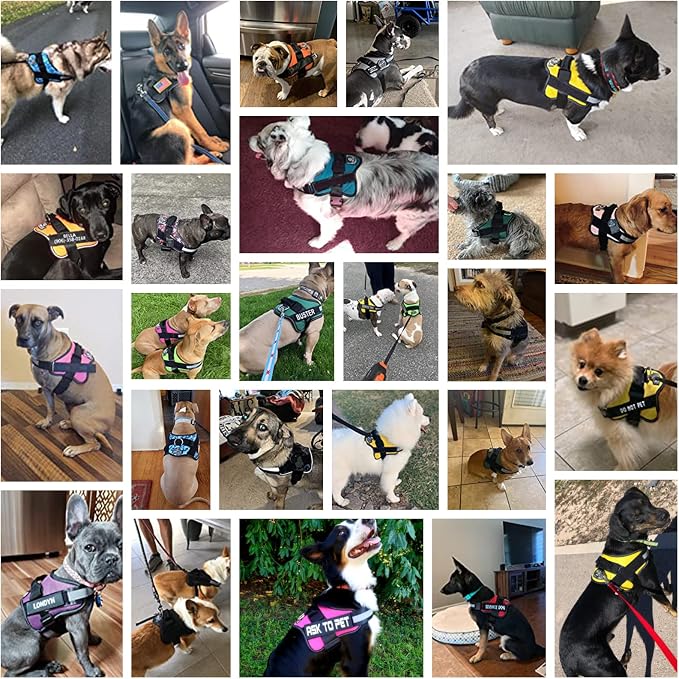 Dog Harness, No-Pull Reflective Dog Vest, Breathable Adjustable Pet Harness with Handle for Outdoor Walking - No More Pulling, Tugging or Choking (Purple, XS) - Image 5