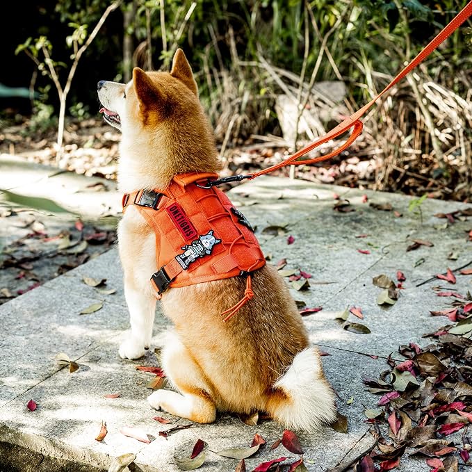 OneTigris No-Pull Dog Leash with Handle for Medium Large Dogs (Orange, 6FT) | Durable lead built for training & daily walks. Ideal drag line for strong pullers and large breeds like bully dogs. - Image 7