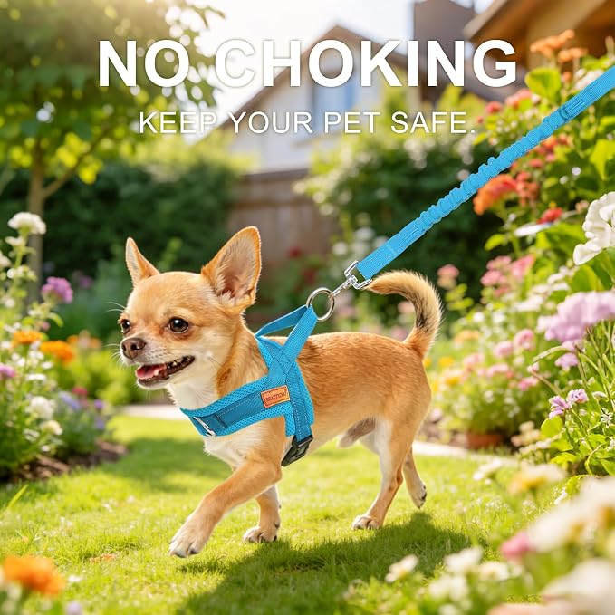 BEAUTYZOO Small Dog Harness and Leash Set, No Pull Step in Puppy Vest | Breathable Mesh with Handle, Reflective, Adjustable No Choke Escape Proof, Lightweight, Easy Control for Walking, Blue XS - Image 2