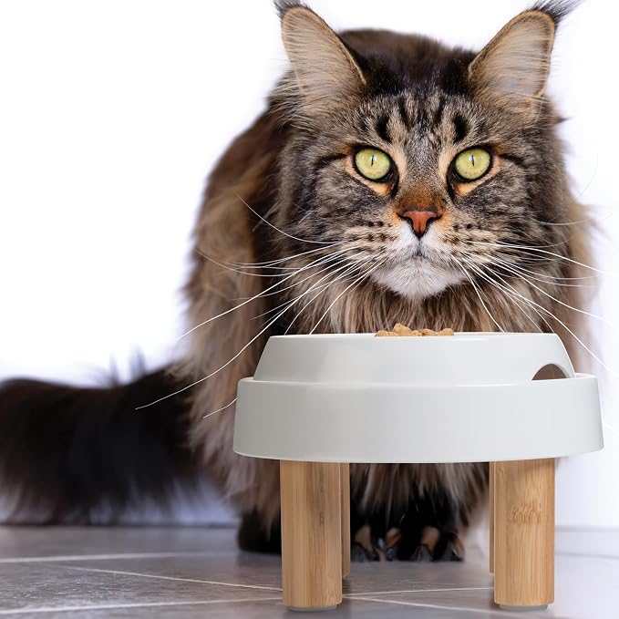 CatGuru Food Table for Cat Bowls, Elevated Feeding Station for Cat Food Bowl, Raised Stand for Food and Water Bowls, Pet Feeder for Indoor Cats, Stress Free Stand for Pet Dishes (Marshmallow, High) - Image 6