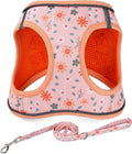 Mihqy Step in Dog Harness and Leash Set, Breathable Mesh, Orange Floral,XS | Reflective, Adjustable No Pull Harnesses for Small Dogs Puppy and Cats, Lightweight Vest Harnesses, Fashion Floral Design by Mihqy