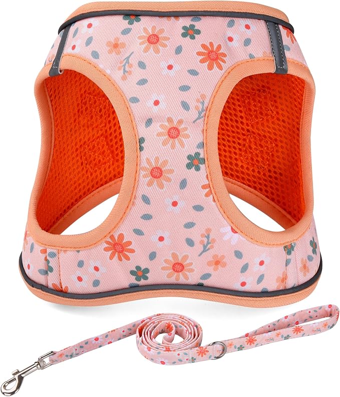Mihqy Step in Dog Harness and Leash Set, Breathable Mesh, Orange Floral,S | Reflective, Adjustable No Pull Harnesses for Small Dogs Puppy and Cats, Lightweight Vest Harnesses, Fashion Floral Design by Mihqy