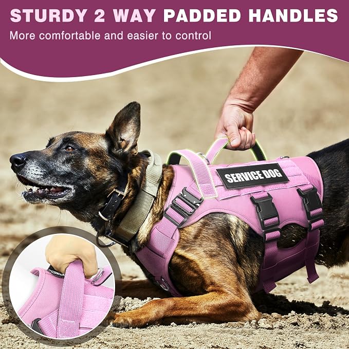 Service Dog Vest Harness for Medium Dog, Tactical Working MOLLE Vest with 10 Pet Patches, No Pull Heavy Duty Harness for Training Walking - Image 3