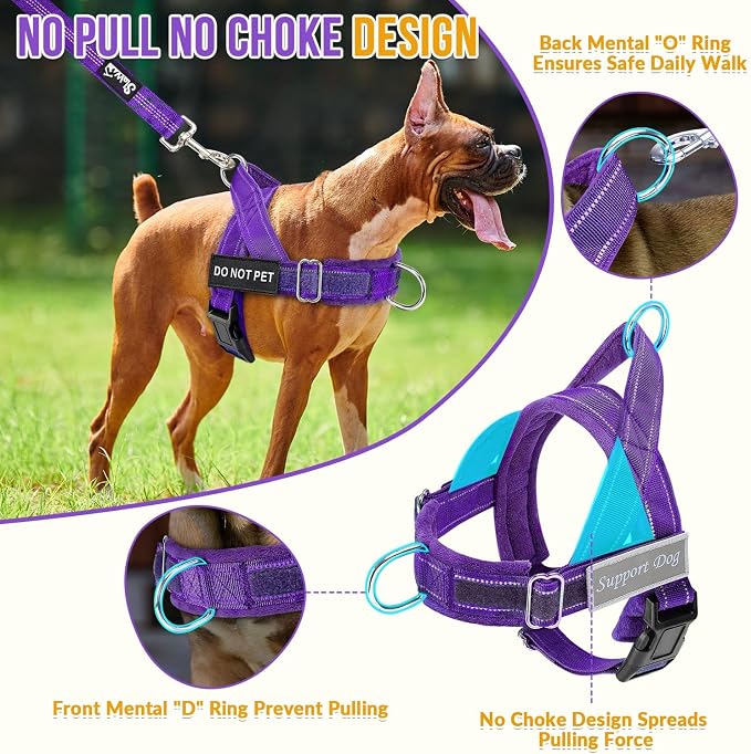 SlowTon No Pull Dog Harness with Front Clip - Heavy Duty, Soft Padded | Neck & Chest Adjustable, Tactical Pet Vest and Leash Set for Large Medium Sized Dogs, for Easy Walk & Training, Purple S - Image 2