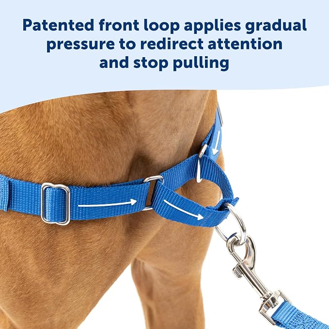 PetSafe Easy Walk Harness for Dogs - Pull-Free Walks - Patented Martingale Loop Design - Front Chest Leash Attachment - Comfort Straps - Breathable Harness Design - Medium, Charcoal/Black (Pack of 3) - Image 3