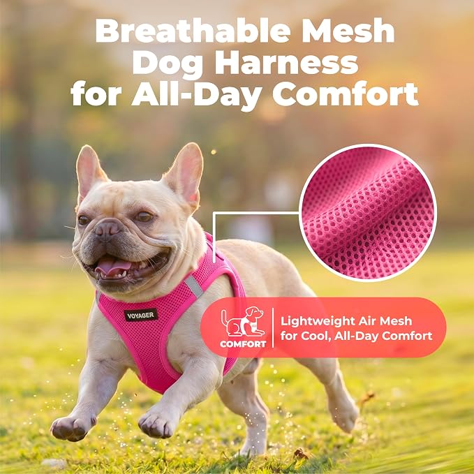 Voyager Step-in Air Dog Vest Harness - Fuchsia, XXX-Small | 11 - 12" in Chest, Reflective Bands, All Weather Breathable Air Mesh, Cats Compatible, Lightweight, Fast Drying - Image 5