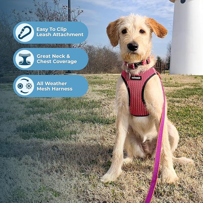 Voyager Step-in Air Dog Vest Harness - Fuchsia 2-Tone, Large | 18- 20.5" in Chest, Reflective Bands, All Weather Breathable Air Mesh, Cats Compatible, Lightweight, Fast Drying - Image 3