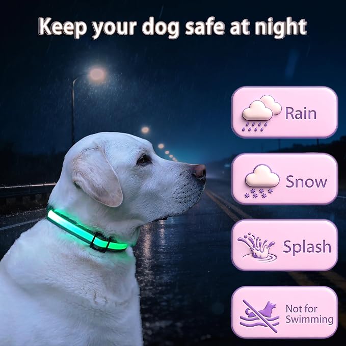 USB Rechargeable LED Dog Collar, Waterproof, Adjustable, Glowing, for Small Dogs, Night Walking, Camping, Jogging, Green, S (Neck 12-18", Width 5/8") - Image 3