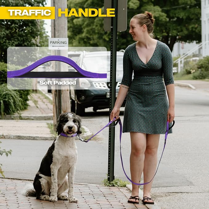 Fida Heavy Duty Dog Leash for Medium Large Dogs, 6 FT, Dual Padded Handles | Traffic Handle for Close Control, Advanced Easy Snap Hook, Reflective, Strong Nylon Webbing for Daily Walks Training, Purple - Image 5