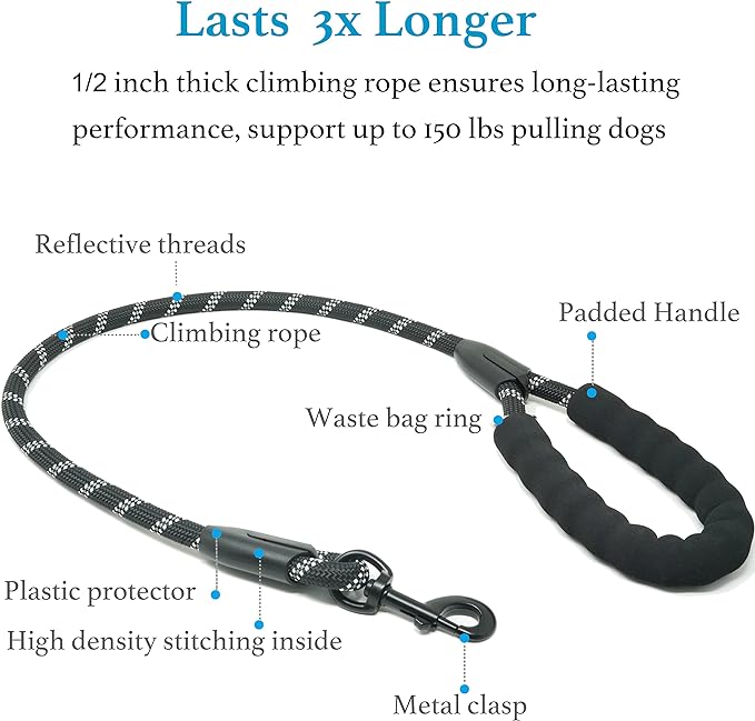 Double Dog Leash, 360° Swivel, No Tangle, Large, 25-150 lbs, Black | Dual Leash for Two Dogs, Split Leash, Shock-Absorbing Bungee, Padded Handle, Heavy-Duty Rope - Image 3