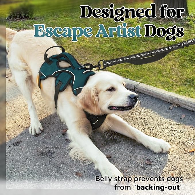 rabbitgoo Escape Proof Dog Harness for Medium, No Pull with Lift Handle | No Escape, Full Soft Padded, Reflective Adjustable Vest, Leash Clip for Walking Hiking Training, Dark Green, Medium - Image 3