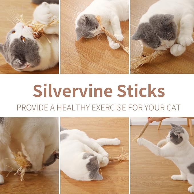 PAZ'S GIFT Catnip Toy Cat Toys Catnip Toy cat chew Toy cat Kicking silvervine Stick Teeth Cleaning Cute Kitten Teething Indoor Interactivecat Dental Care Matatabi (Raffia 2pcs) - Image 7