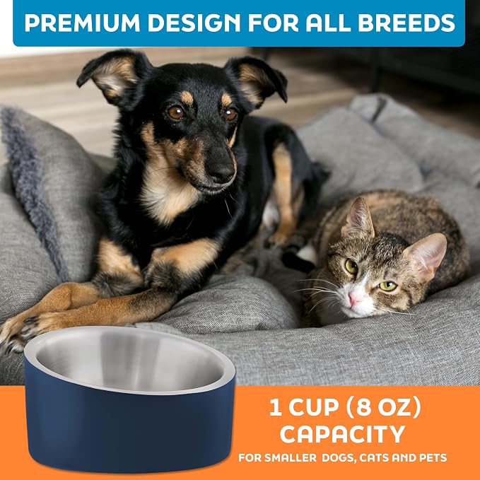 Master Pet Supply Stainless Steel Slanted Dog Cat Food Bowl 8 oz Navy Blue | Heavy Duty Double Wall Insulated, Non-Slip Elevated Bowl for French Bulldogs, Pugs, Cats, Anti Rust, Dishwasher Safe - Image 7