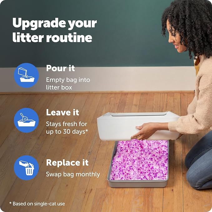 PetSafe ScoopFree Premium Crystal Litter, Lavender Scent, 4.3Lb Bag, 2 Pack | Ultra-Absorbent Crystal Cat Litter, 5x Faster Odor Control, 99% Dust-Free, Low Tracking, Refills Any Cat Box or Tray - Image 4