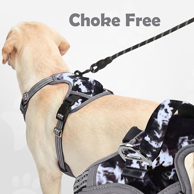 Dog Harness No Pull, Adjustable Pet Vest Harness, Super Soft Material with Vertical Handle Easy Control, Reflective Night Walking, 2 Leash Clips for Small Sized Dogs, Misty Gray, S - Image 3