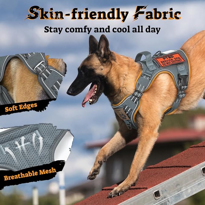 rabbitgoo Tactical Dog Harness for Small Dogs, No Pull Service Pet Vest | Military Molle System & Easy Control Handle, Adjustable and Reflective for Walking and Training, Grey, Small - Image 6
