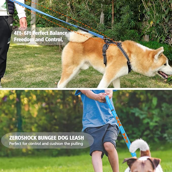 Heavy Duty Bungee Dog Leash with Locking Carabiner for Large Dogs | No Pull Bungee Shock Absorbing, 2 Padded Handles for control, Fits 60-150 lbs Dogs, Seatbelt Buckle, Reflective - Image 5