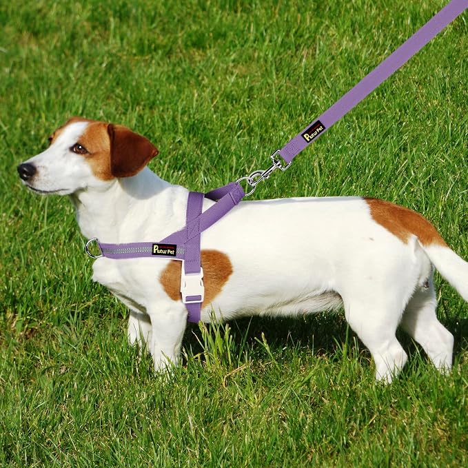 Plutus Pet Cotton Dog Harness and Leash Set, Reflective and Soft Padded, Quick Fit Vest Harness, for Small, Medium and Large Dogs, Medium Purple, XS - Image 6