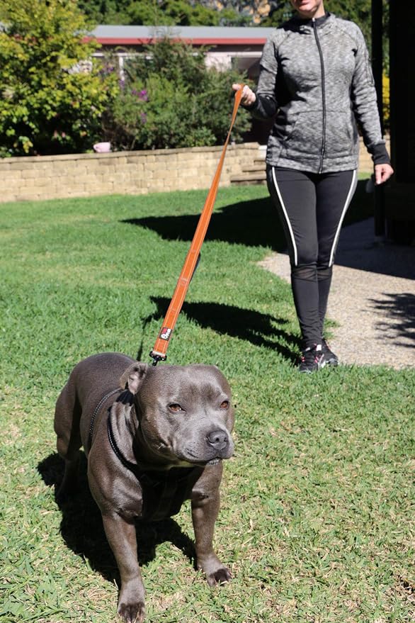 Dog Leash 6ft Long,Traffic Padded Two Handle,Heavy Duty,Reflective Double Handles Lead for Control Safety Training,Leashes for Large Dogs or Medium Dogs,Dual Handles Leads(Orange) - Image 5