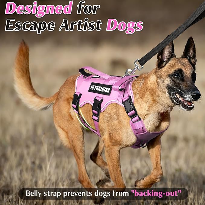 WINSEE Escape Proof Dog Harness with Double Handle+4 Removable Patches | Service Working Molle Harness with Double Handle for Medium Dogs, Tactical Pet Reflective Vest for Walking Hiking Hunting - Image 2