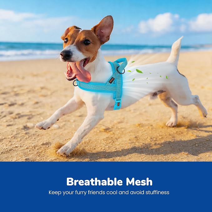 No Pull Dog Harness for Small Dogs, Breathable Mesh Padded, Blue, S | Quick Fit, Easy On and Off, Adjustable, Reflective Vest Harness for Night Safty, Easy for Walking and Training, Chest 18-22" - Image 2