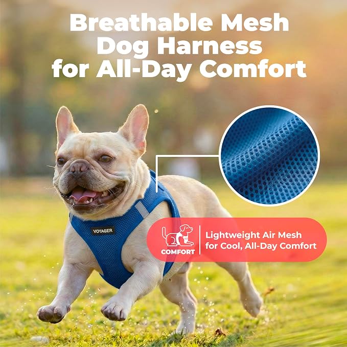 Voyager Step-in Air Dog Vest Harness - Royal Blue, XXX-Small | 11 - 12" in Chest, Reflective Bands, All Weather Breathable Air Mesh, Cats Compatible, Lightweight, Fast Drying - Image 5
