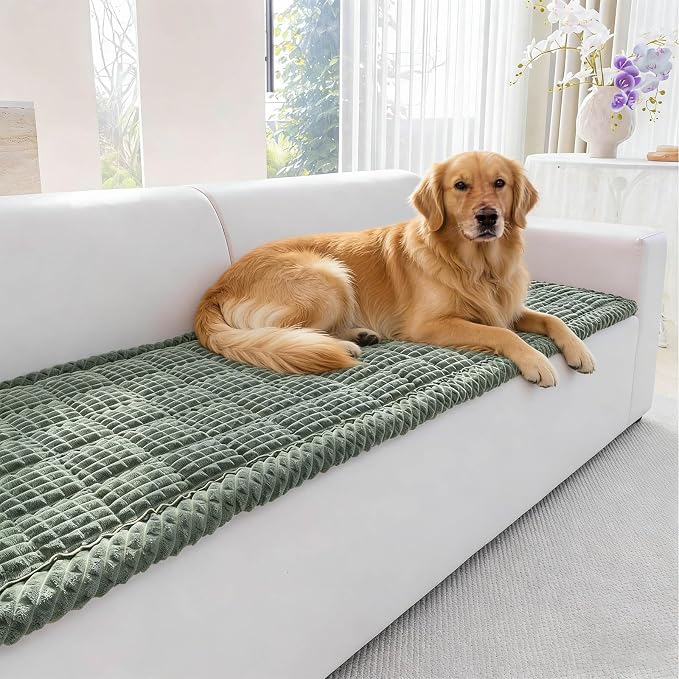 Couch Cover for Dogs Washable, Non-Slip Pet Couch Covers for Sofa, Fuzzy Dog Couch Cover Mat, Thick, Soft, Plush Couch Cushion Covers for Sofa Protector (Green, 27.6" x 59"/70 x 150cm) by Disayu
