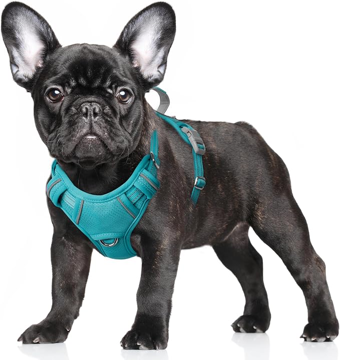BARKBAY No Pull Dog Harness Large Reflective Dog Harness with Front Clip and Easy Control Handle for Walking Training Running with ID tag Pocket(Ocean Blue,S) by BARKBAY
