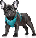 BARKBAY No Pull Dog Harness Large Reflective Dog Harness with Front Clip and Easy Control Handle for Walking Training Running with ID tag Pocket(Ocean Blue,S) by BARKBAY