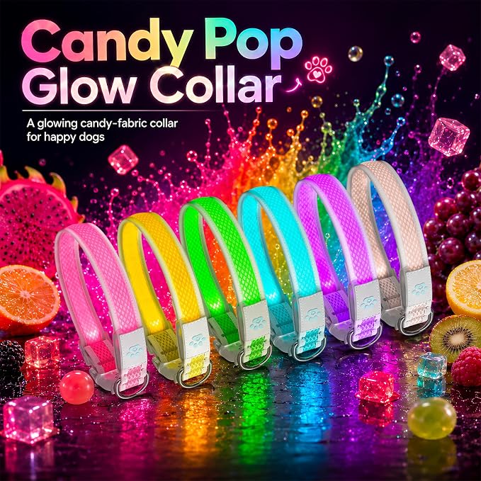 Multicolor LED Dog Collar USB-C Rechargeable, Light Up Dog Collar, Rainbow Gradient Glowing Dog Collar with 4 Light Modes, Adjustable Candy Mesh Pet Collar(Yellow, Small) - Image 8